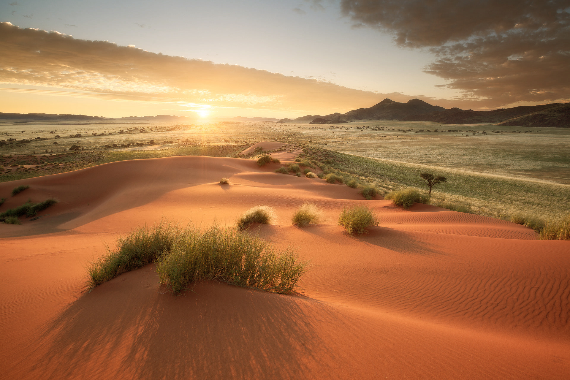 A deset road at sunset